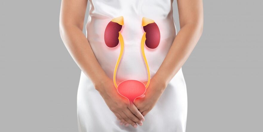 Cystitis in women is an inflammation that occurs in the tissues of the bladder